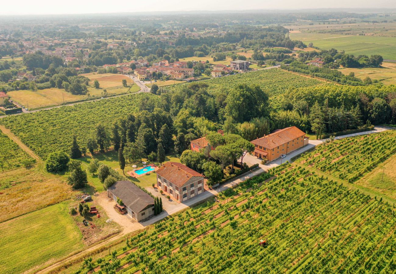 Ferienwohnung in Badia Pozzeveri - DINO