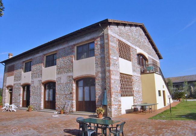 Ferienwohnung in Badia Pozzeveri - TERRA Ferienwohnung in Badia Pozzeveri - TERRA
