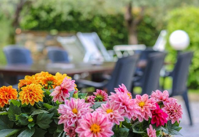 Ferienwohnung in Colle di Compito - TONINO Ferienwohnung in Colle di Compito - TONINO