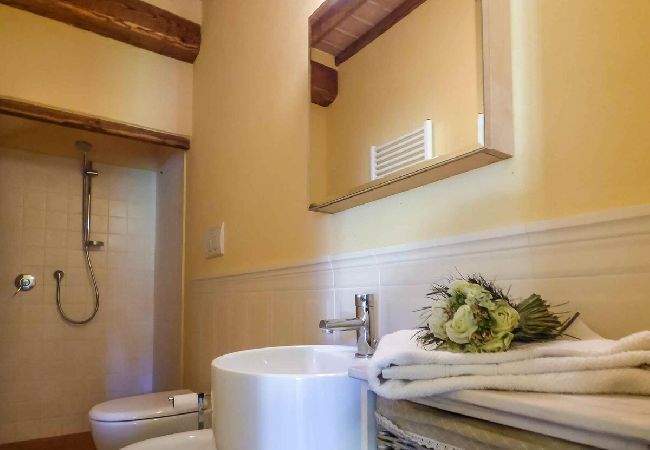 Ferienwohnung in Lucca - MANDOLATA Ferienwohnung in Lucca - MANDOLATA