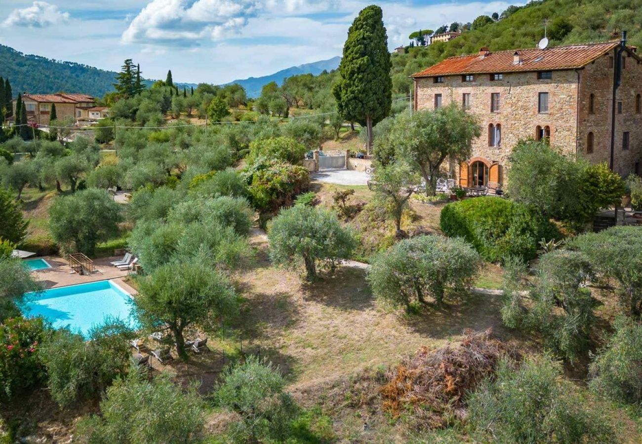 Ferienwohnung in Lucca - BIFORA