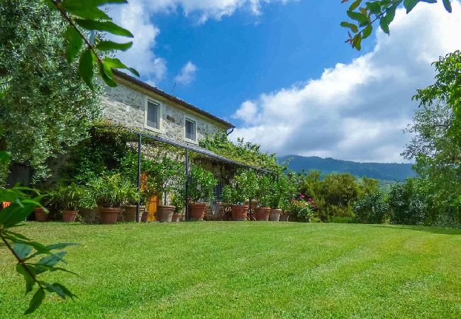 Villa in Lucca - EMILIA Villa in Lucca - EMILIA