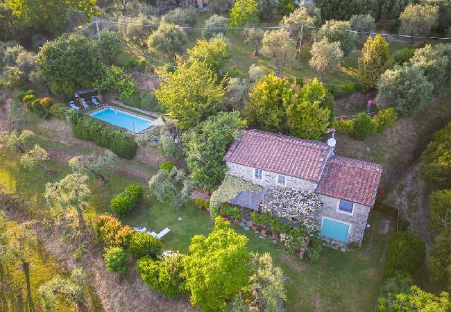 Villa in Lucca - EMILIA Villa in Lucca - EMILIA