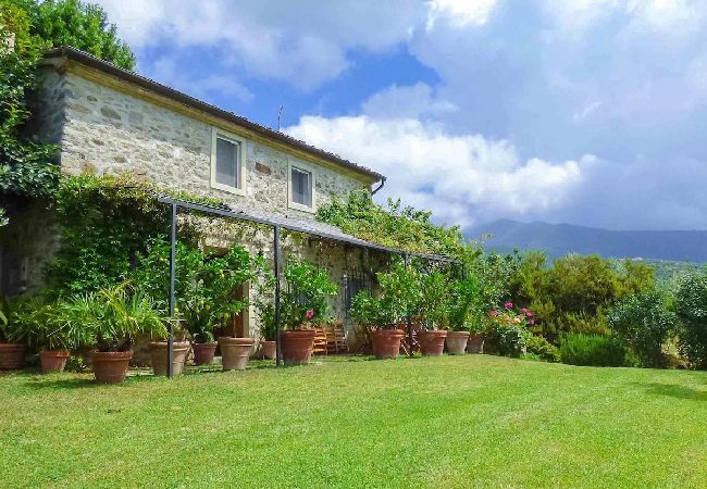 Villa in Lucca - EMILIA Villa in Lucca - EMILIA