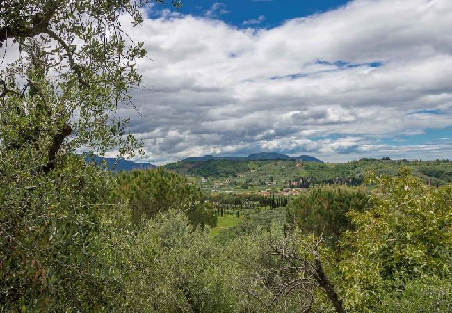 Villa in Lucca - GIGLIO Villa in Lucca - GIGLIO