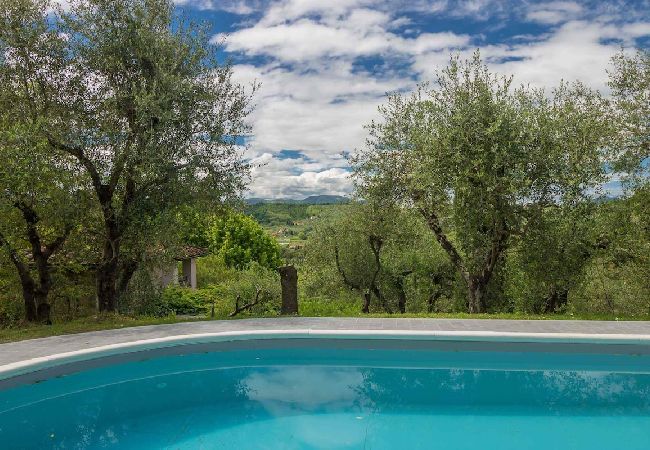 Villa in Lucca - GIGLIO Villa in Lucca - GIGLIO