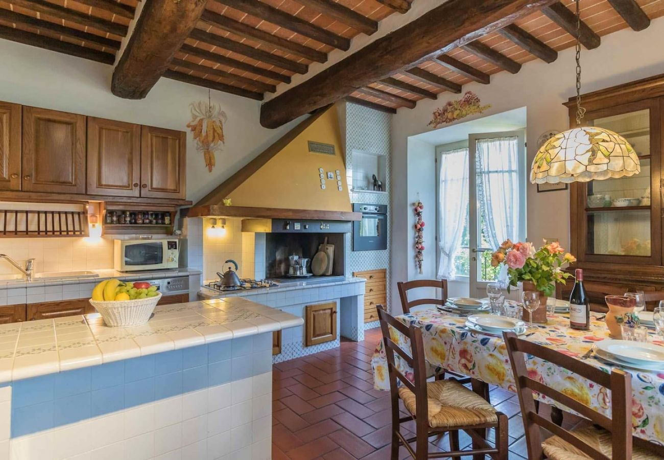 Villa in Barga - LA BARGHIGIANA