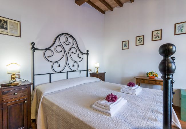 Ferienwohnung in Castiglione del Lago - MADONE 3 Ferienwohnung in Castiglione del Lago - MADONE 3