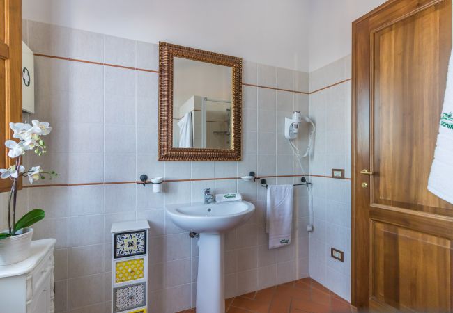 Ferienwohnung in Castiglione del Lago - MADONE 3 Ferienwohnung in Castiglione del Lago - MADONE 3