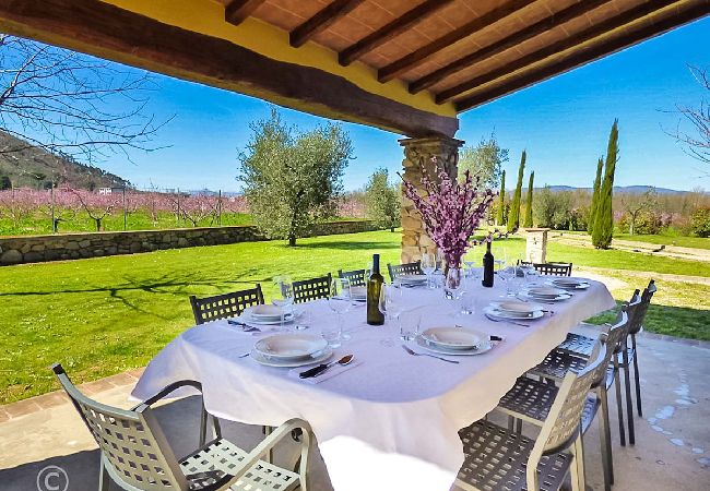 Villa in Pieve di Compito - PESCHETO Villa in Pieve di Compito - PESCHETO