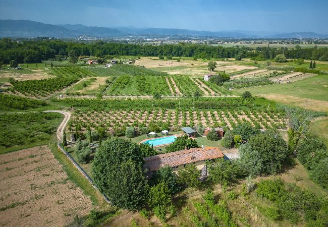 Villa in Pieve di Compito - PESCHETO Villa in Pieve di Compito - PESCHETO