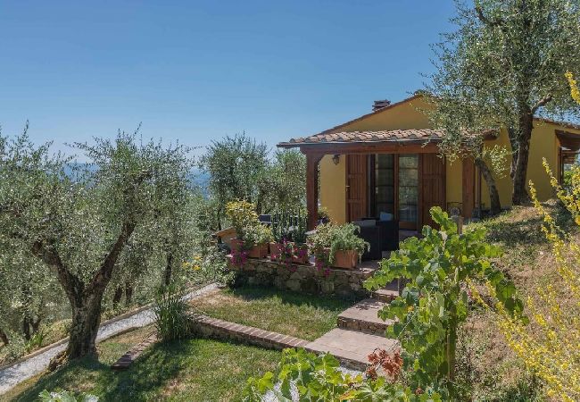 Villa in Pescia - LA VEDUTA Villa in Pescia - LA VEDUTA
