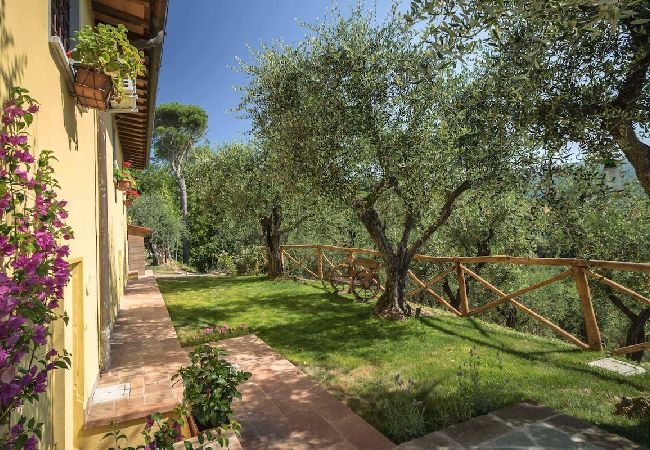 Villa in Pescia - LA VEDUTA Villa in Pescia - LA VEDUTA