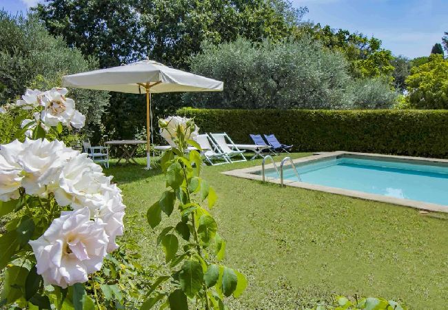 Villa in Lucca - LA MERLAIA Villa in Lucca - LA MERLAIA
