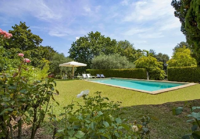 Villa in Lucca - LA MERLAIA Villa in Lucca - LA MERLAIA