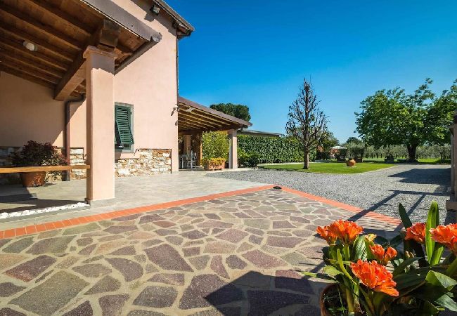 Ferienhaus in Lucca - PODERE SANTA Ferienhaus in Lucca - PODERE SANTA