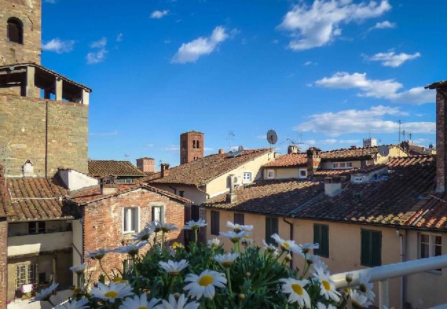 Ferienwohnung in Lucca - SANTA LUCIA Ferienwohnung in Lucca - SANTA LUCIA