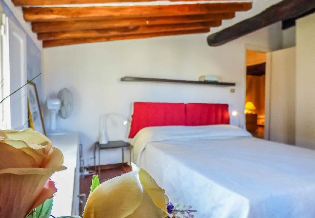 Ferienwohnung in Lucca - SANTA LUCIA Ferienwohnung in Lucca - SANTA LUCIA