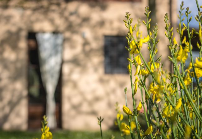 Villa in Lucca - AGLI ORTI Villa in Lucca - AGLI ORTI