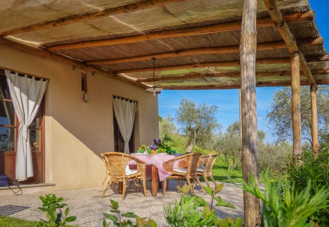 Villa in Lucca - AGLI ORTI Villa in Lucca - AGLI ORTI
