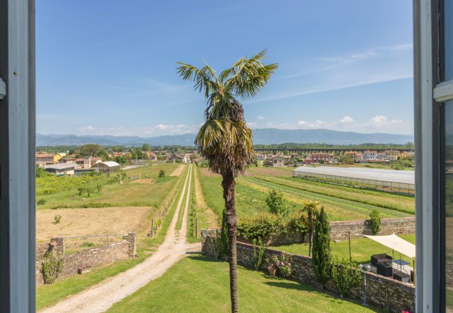 Ferienwohnung in Capannori - SARA Ferienwohnung in Capannori - SARA
