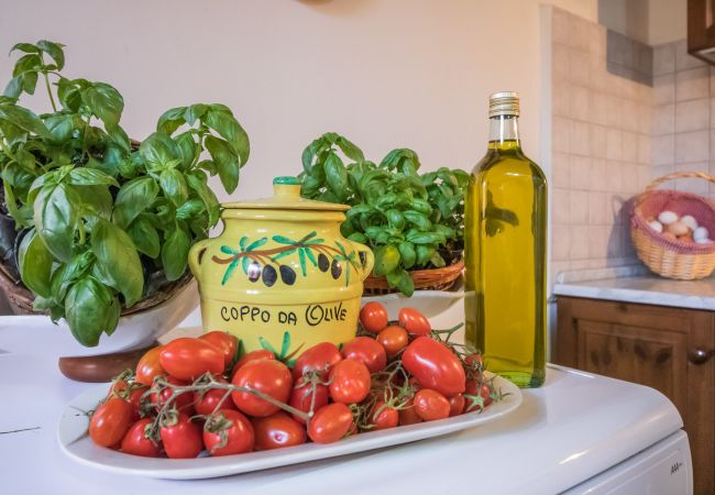 Ferienwohnung in Capannori - SARA Ferienwohnung in Capannori - SARA