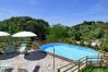 Ferienhaus in Massarosa - BORGHINO 1CE Ferienhaus in Massarosa - BORGHINO 1CE