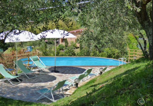 Ferienwohnung in Massarosa - BORGHINO 3GI Ferienwohnung in Massarosa - BORGHINO 3GI