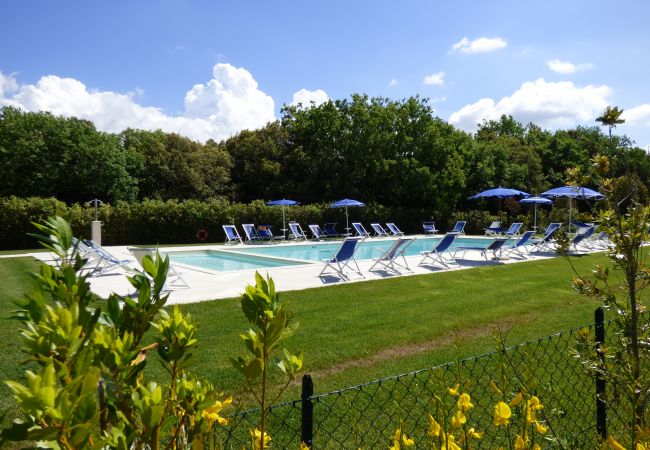 Ferienwohnung in Montaione - LARI FORNO1 Ferienwohnung in Montaione - LARI FORNO1