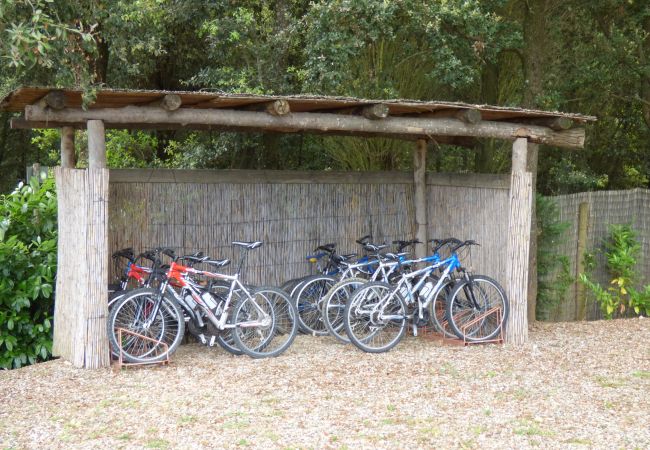 Ferienwohnung in Montaione - LARI FORNO1 Ferienwohnung in Montaione - LARI FORNO1