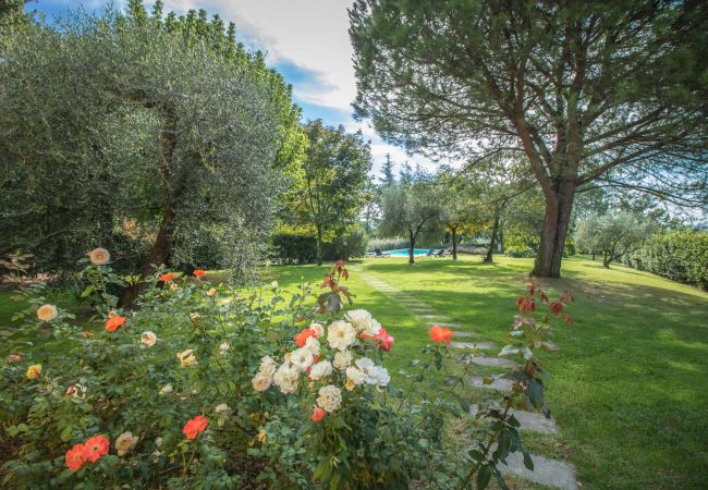 Villa in Montecarlo - IL SUGHERO Villa in Montecarlo - IL SUGHERO