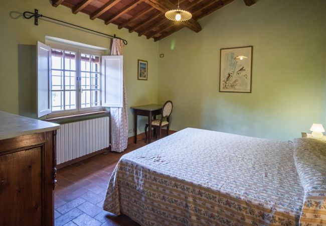 Villa in Montecarlo - IL SUGHERO Villa in Montecarlo - IL SUGHERO