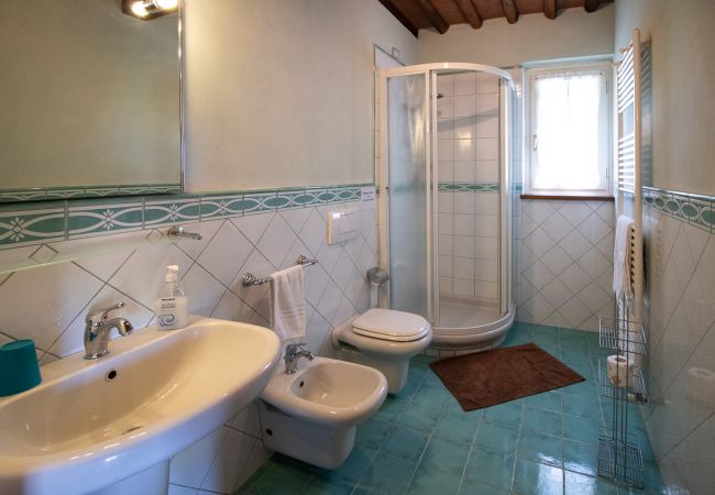 Villa in Montecarlo - IL SUGHERO Villa in Montecarlo - IL SUGHERO