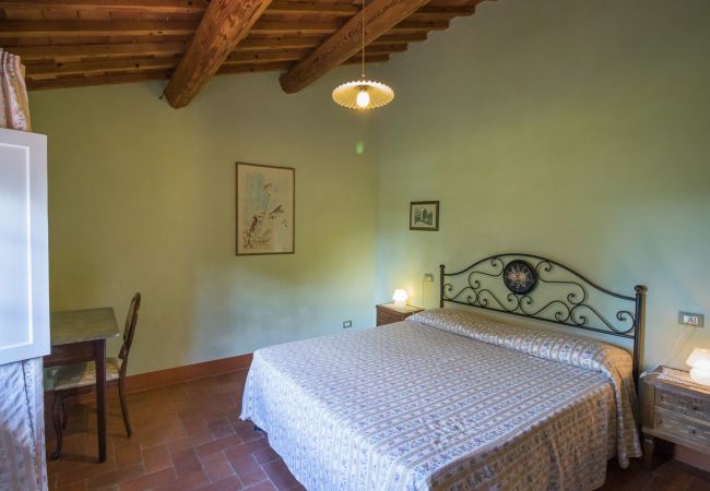 Villa in Montecarlo - IL SUGHERO Villa in Montecarlo - IL SUGHERO