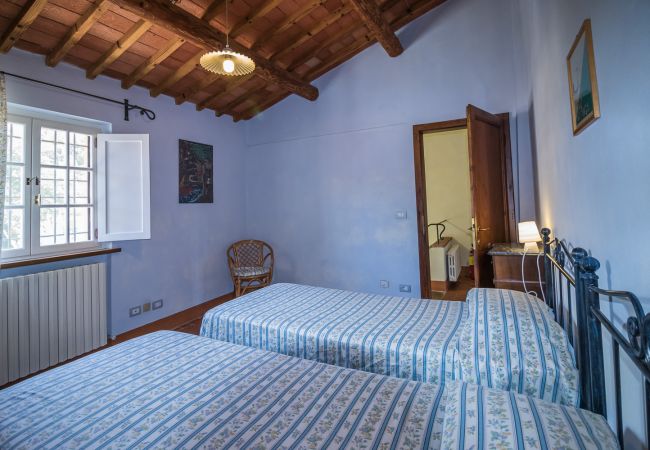 Villa in Montecarlo - IL SUGHERO Villa in Montecarlo - IL SUGHERO