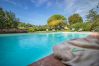 Villa in Montecarlo - IL SUGHERO Villa in Montecarlo - IL SUGHERO