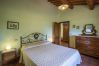 Villa in Montecarlo - IL SUGHERO Villa in Montecarlo - IL SUGHERO