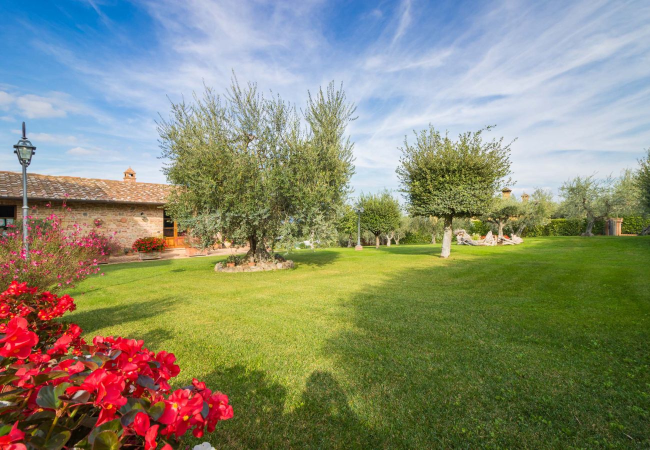 Ferienwohnung in Castiglione del Lago - MADONE E