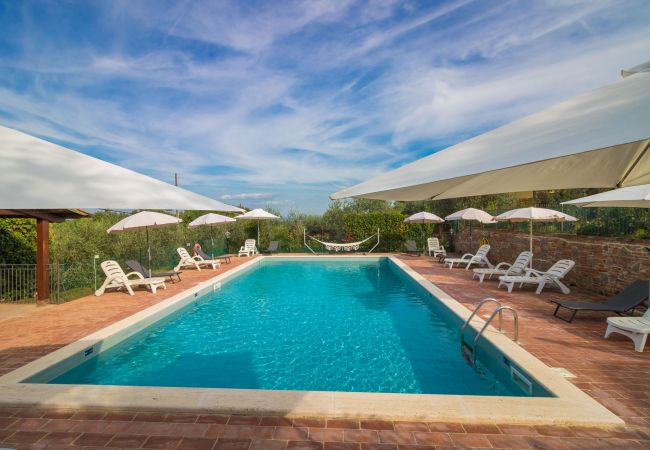 Ferienwohnung in Castiglione del Lago - MADONE O Ferienwohnung in Castiglione del Lago - MADONE O