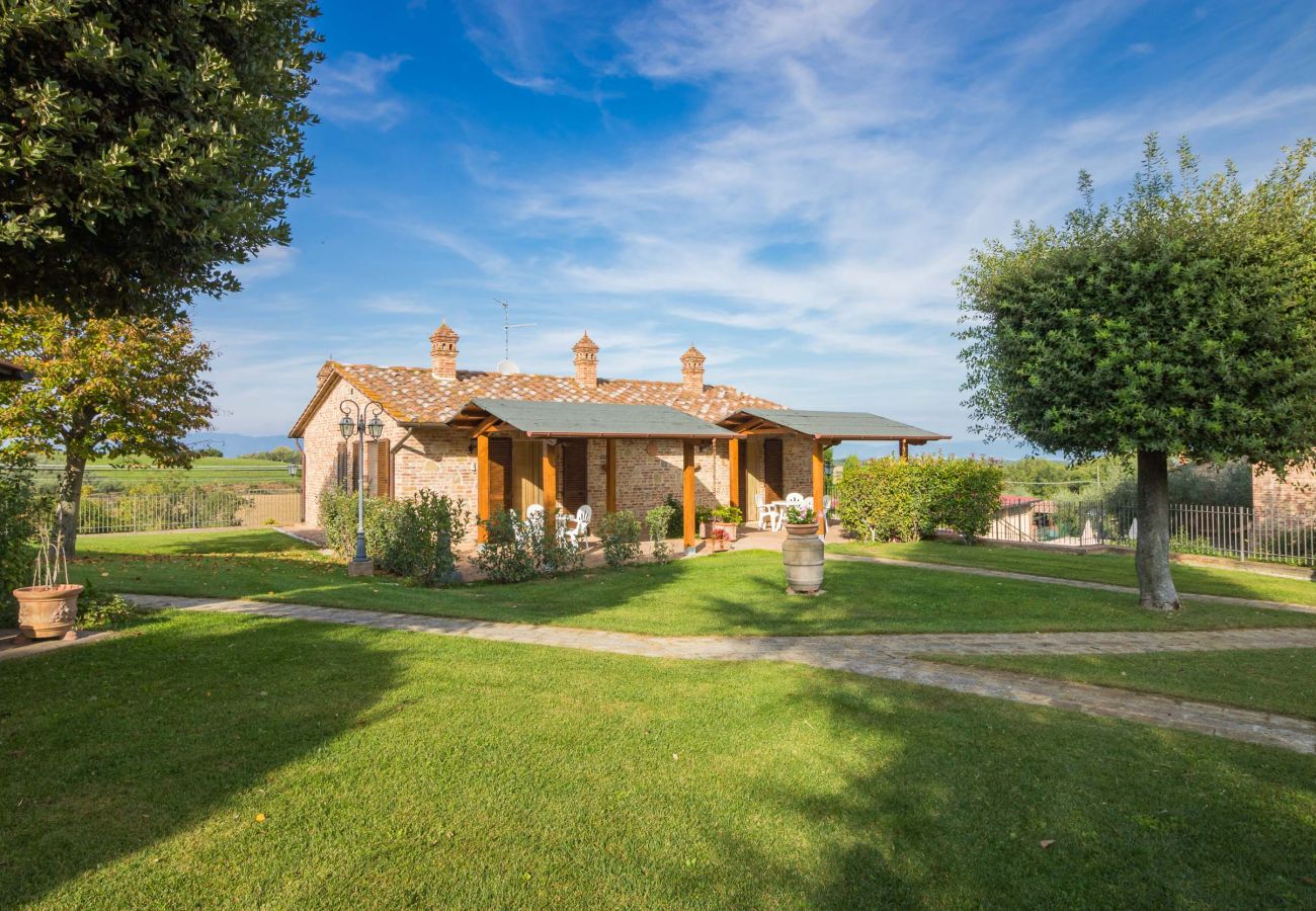 Ferienwohnung in Castiglione del Lago - MADONE O