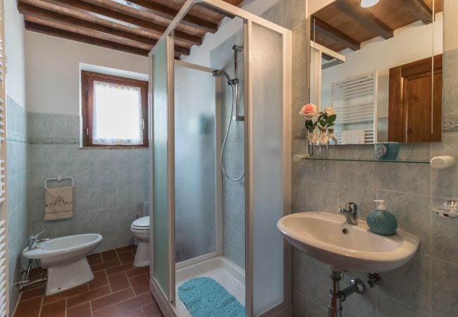 Ferienwohnung in Montaione - MARO A Ferienwohnung in Montaione - MARO A