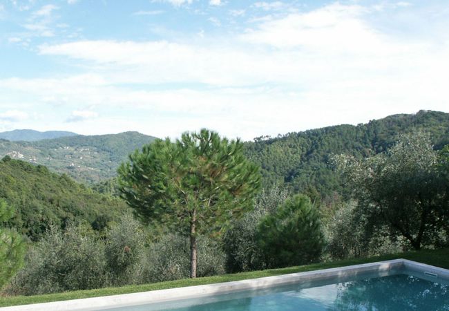 Villa in Lucca - MACCHIA Villa in Lucca - MACCHIA