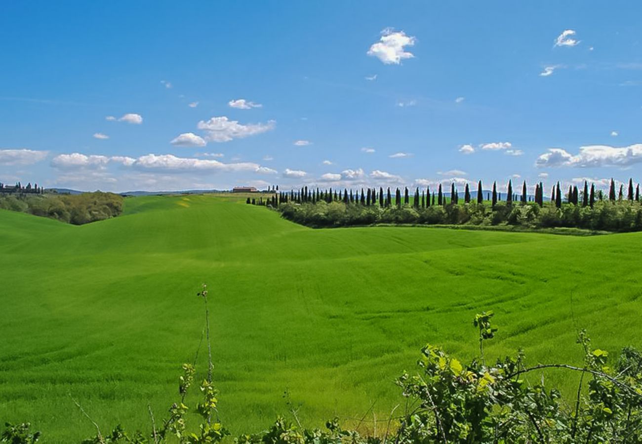 Ferienwohnung in Castelnuovo Berardenga - OLIVO 035