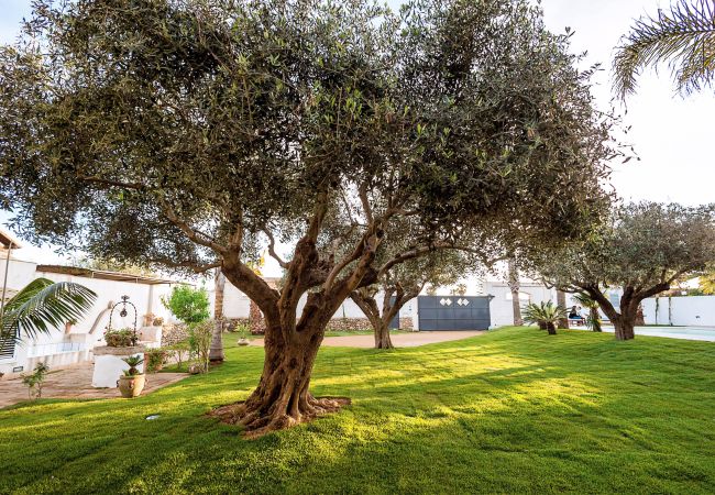 Ferienwohnung in Marsala - CAMARSA 2 Ferienwohnung in Marsala - CAMARSA 2