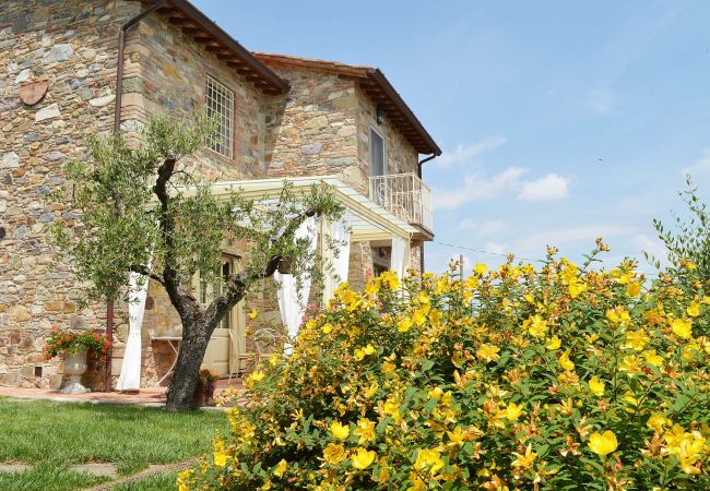 Villa in Lucca - ELGUA Villa in Lucca - ELGUA