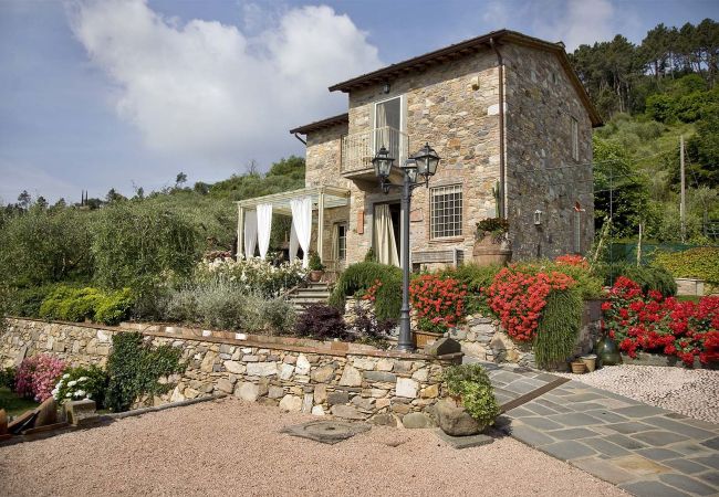 Villa in Lucca - ELGUA Villa in Lucca - ELGUA
