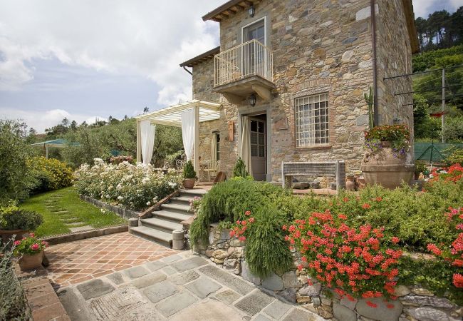 Villa in Lucca - ELGUA Villa in Lucca - ELGUA