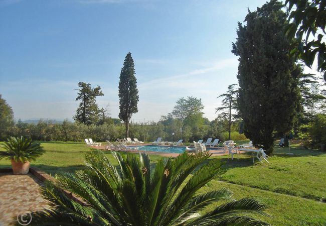 Apartment in Badia Pozzeveri - LE OLIVE Apartment in Badia Pozzeveri - LE OLIVE