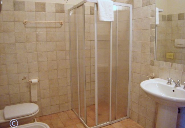 Apartment in Badia Pozzeveri - LE OLIVE Apartment in Badia Pozzeveri - LE OLIVE