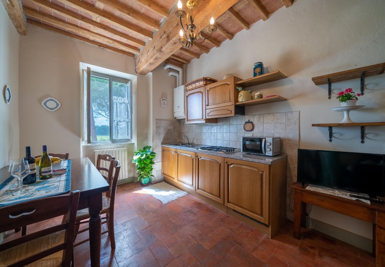 Apartment in Badia Pozzeveri - LATO